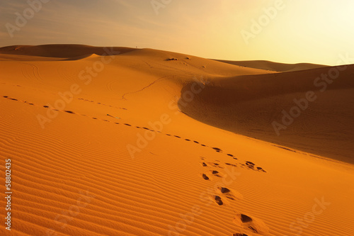  Sand Dune in Desert Landscape at Sunrise
