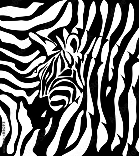Fototapeta Zebra logotype