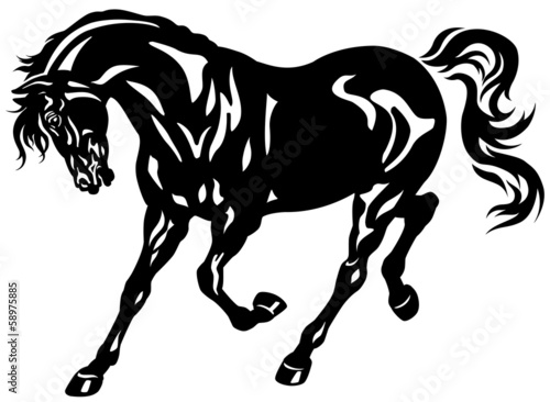  running black horse