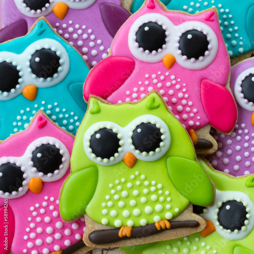 Lacobel Owl cookies