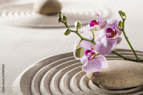 Fototapeta pure wellness with zen orchids