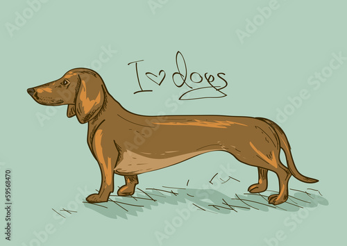 Lacobel Illustration with Dachshund dog