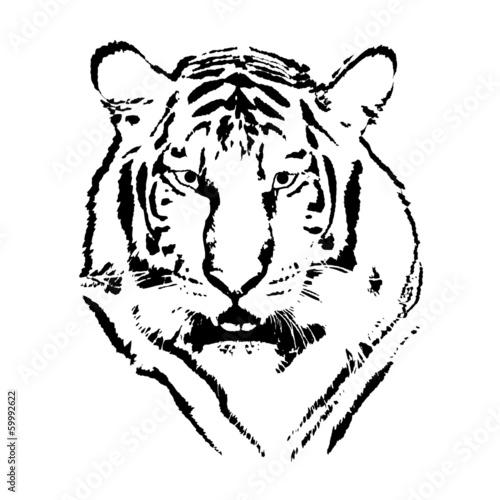 Lacobel Tiger head