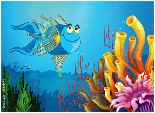 Fototapeta A blue fish under the sea near the coral reefs