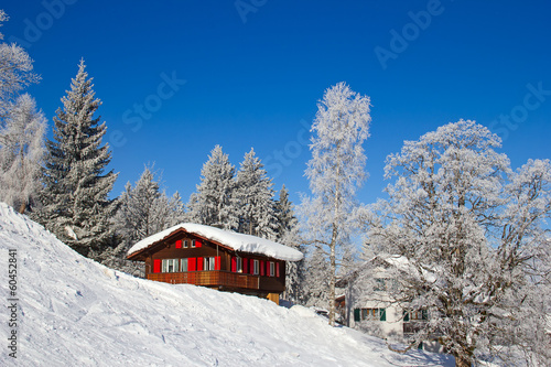 Fototapeta Skiing slope