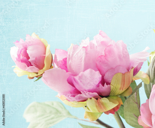 peony flowers