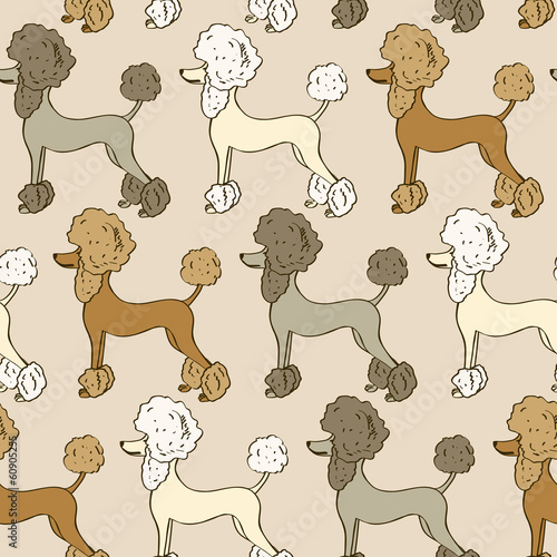Fototapeta Seamless pattern of poodle dogs