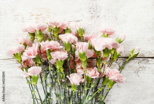 Fototapeta Pink carnation flowers on white rustic wooden background.