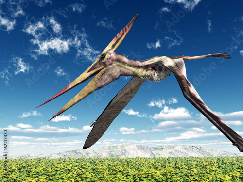 Fototapeta Flugsaurier Pteranodon
