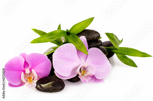 Fototapeta Orchids, stones and bamboo :)