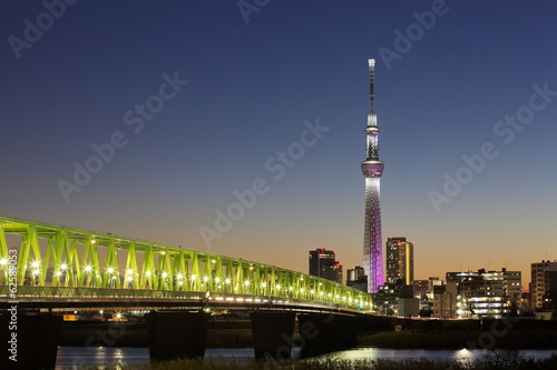 Fototapeta View of Tokyo skyline from Sumida river