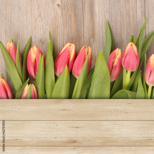 Tulpen auf Holz