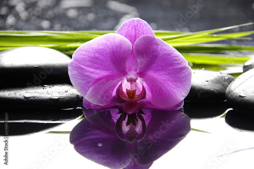 rozowa-orchidea-z-zen-kamieniami-i-zielen-liscmi-na-czarnym-tle