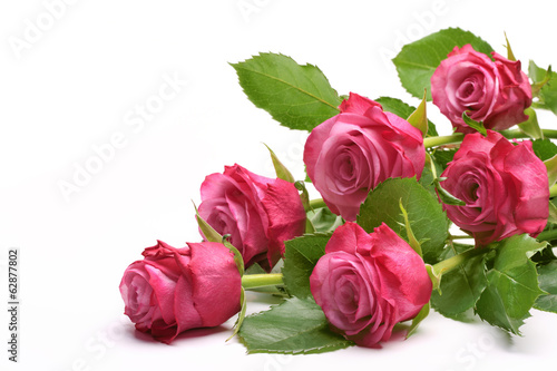 Pink roses bouquet