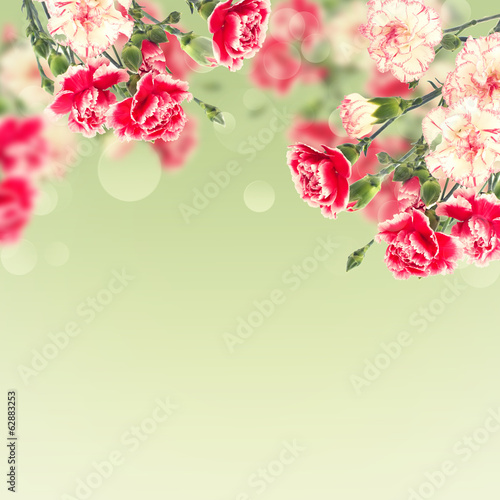 Fototapeta Postcard with elegant flowers and empty place for your text