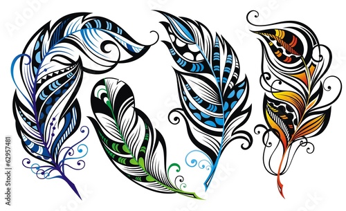 Set of feathers