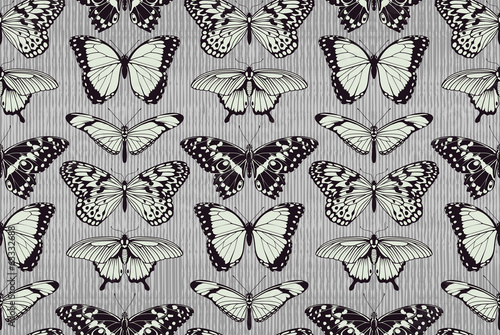 Fototapeta Butterfly pattern background