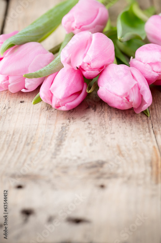 Tulip.