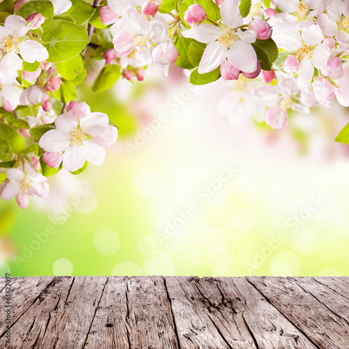 Spring background with free space for text
