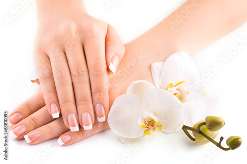 Fototapeta beautiful french manicure with white orchid on white