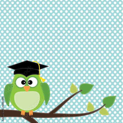 Lacobel Owl with graduation cap sitting on branch