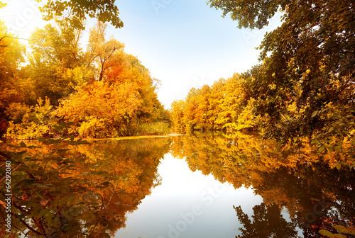 Fototapeta Autumn forest by the river