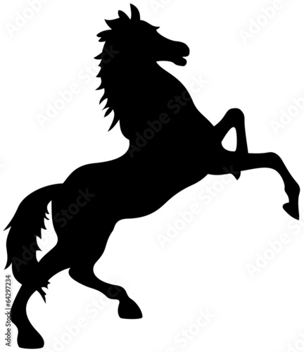 Fototapeta Black horse silhouette