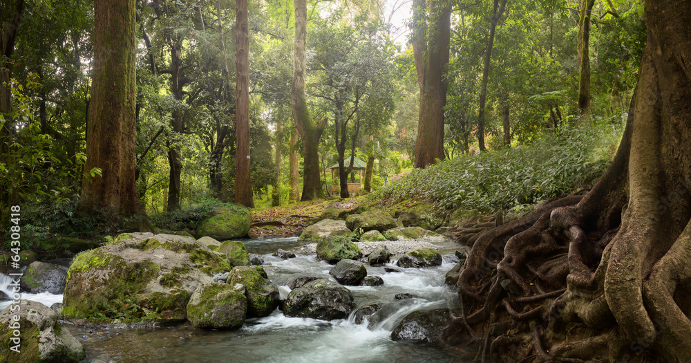 waldwasserfall