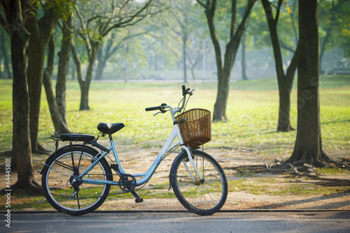 old vintage bicycle in public park with green nature concept