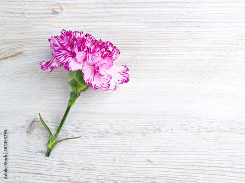  beautiful carnation flowers on wooden surface