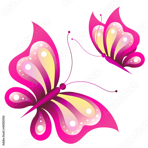  butterflies design