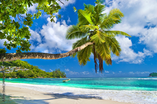 Lacobel idyllic tropical scenery - Seychelles