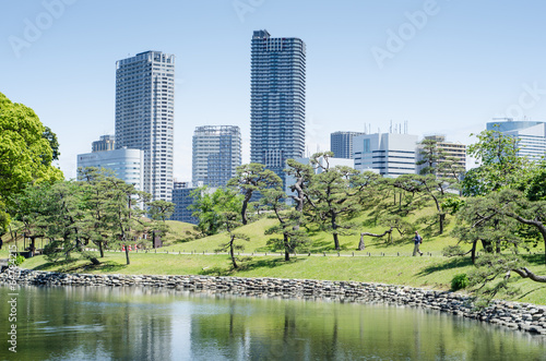 Fototapeta Skyscrapers and japanese garden in Tokyo Japan