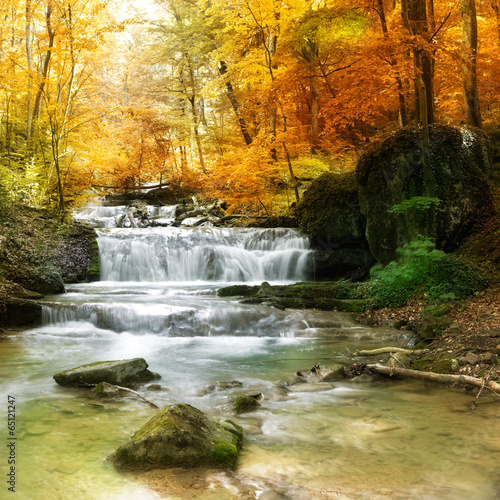 Fototapeta forest waterfall