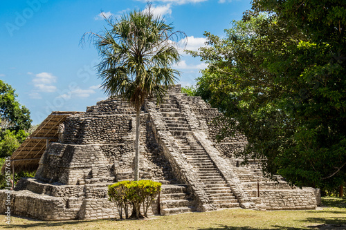 Fototapeta Chacchoben Mayan Ruins I