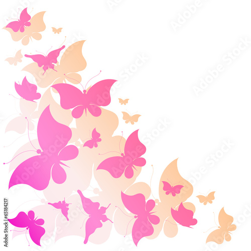 Fototapeta butterflies design
