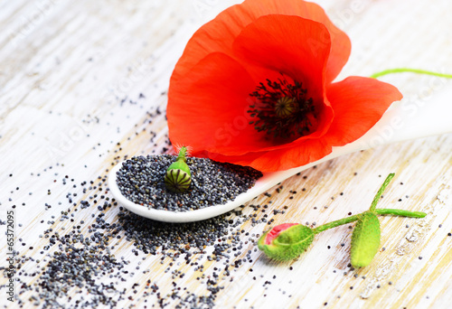Mohn