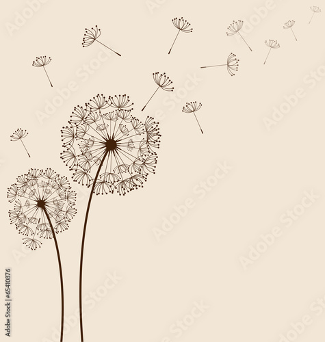Lacobel Dandelions background vector