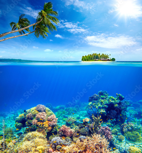 Fototapeta Beautiful Coral Reef on the background of a small island