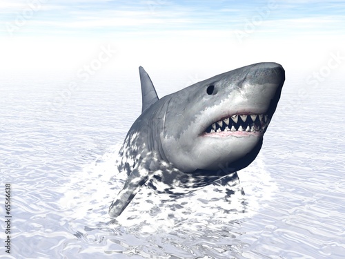Fototapeta Shark attack - 3D render