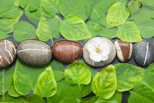 Striped stones and leaf in water on a wet  background