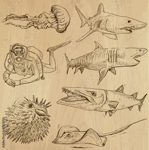 Fototapeta Underwater, Sea Life (vector set no.2) - hand drawn