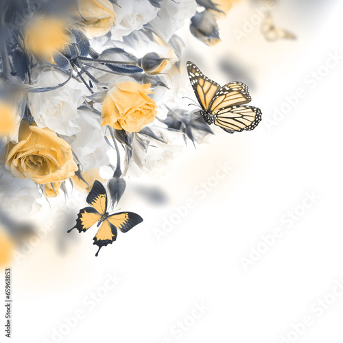 Lacobel Bouquet of white and pink roses, butterfly. Floral background.