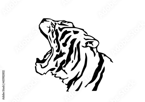 Lacobel testa di tigre stilizzata su sfondo bianco
