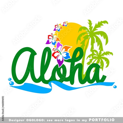 Fototapeta illustrations, aloha, hawaii, leaves, hibiscus, floral