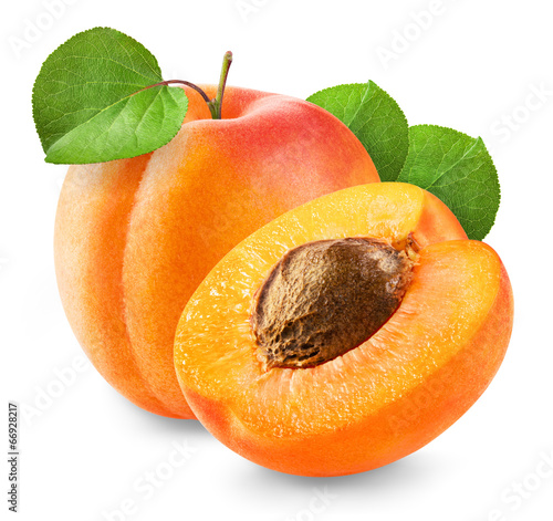 Fresh apricot © Buriy