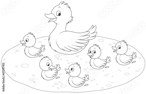 Download "Duck and ducklings" Stock image and royalty-free vector ...