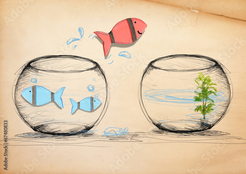  Fish Escaping to New Fishbowl