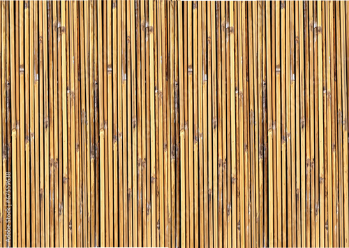 Fototapeta Bamboo background illustration