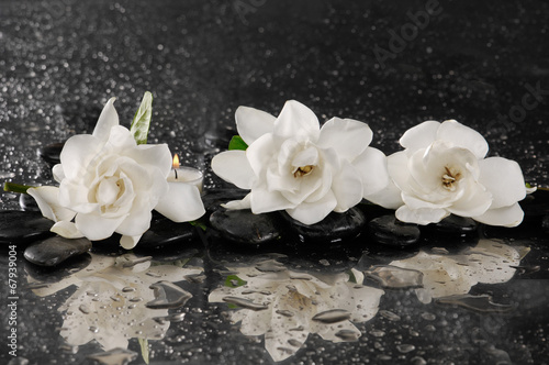 Fototapeta spa concept –gardenia flower with zen stone